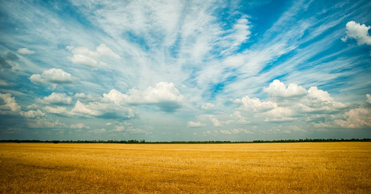 Kansas